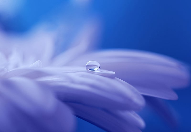 Time Ripples Image